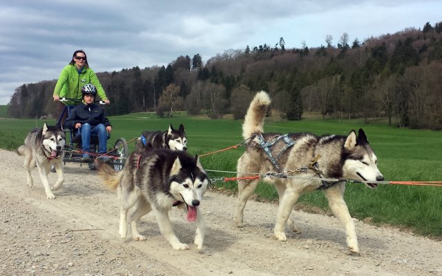 Ferienpass Mühlheim 2018 in Pfyn